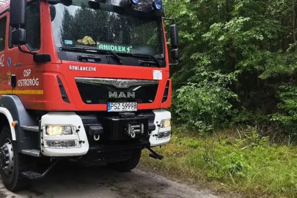 Zadymienie nad lasem w Lipnicy – interwencja strażaków z Ostroroga, Otorowa i Brodziszewa