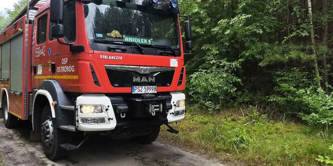 Zadymienie nad lasem w Lipnicy – interwencja strażaków z Ostroroga, Otorowa i Brodziszewa
