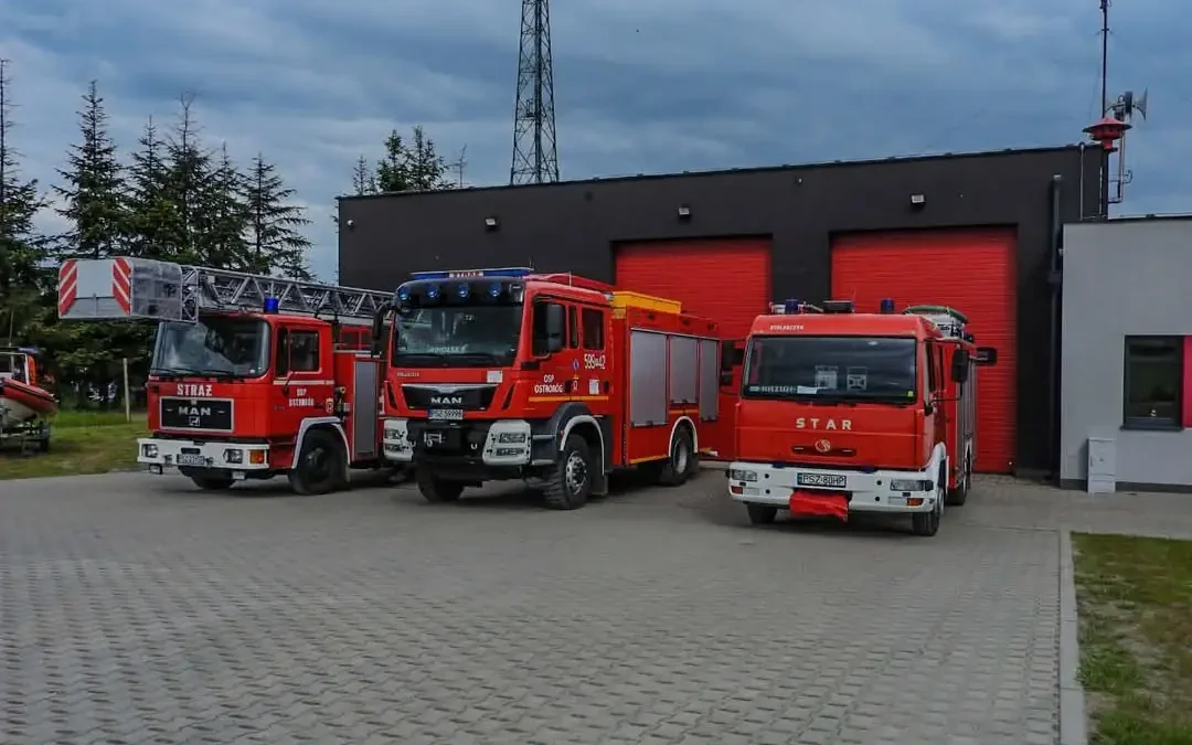 Strażacy z OSP Ostroróg uratowali kota z drzewa w Szczepankowie
