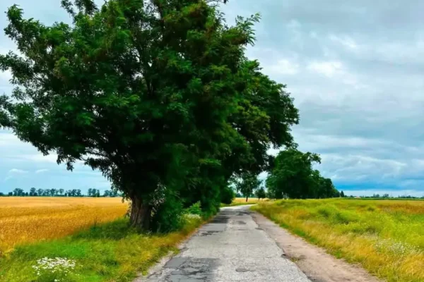 Szamotuły aplikują o środki na drogi z Rządowego Funduszu Rozwoju Dróg