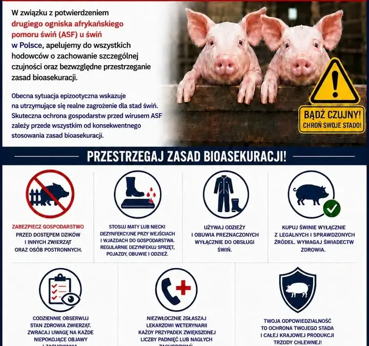 Powiatowy Lekarz Weterynarii w Szamotułach apeluje o wzmożoną bioasekurację po wykryciu ASF