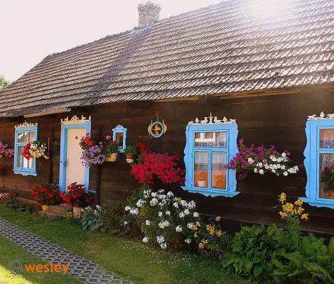Wycieczka na Podlasie z Binina: jeszcze wolne miejsca na wyjątkowy wyjazd