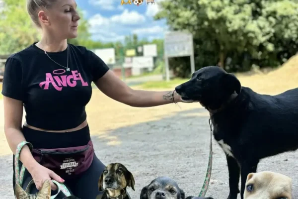 Trzeci piknik w Przyborówku – święto dla bezdomnych zwierząt już 5 września