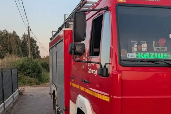 Strażacy z Ostroroga usunęli gniazdo owadów błonkoskrzydłych