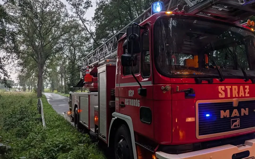Kot na drzewie w Słopanowie. Interwencja OSP Ostroróg i OSP Słopanowo