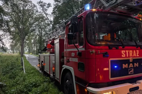 Kot na drzewie w Słopanowie. Interwencja OSP Ostroróg i OSP Słopanowo