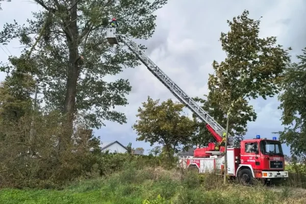 OSP Ostroróg interweniuje w Bobulczynie: zwisający konar nad linią energetyczną
