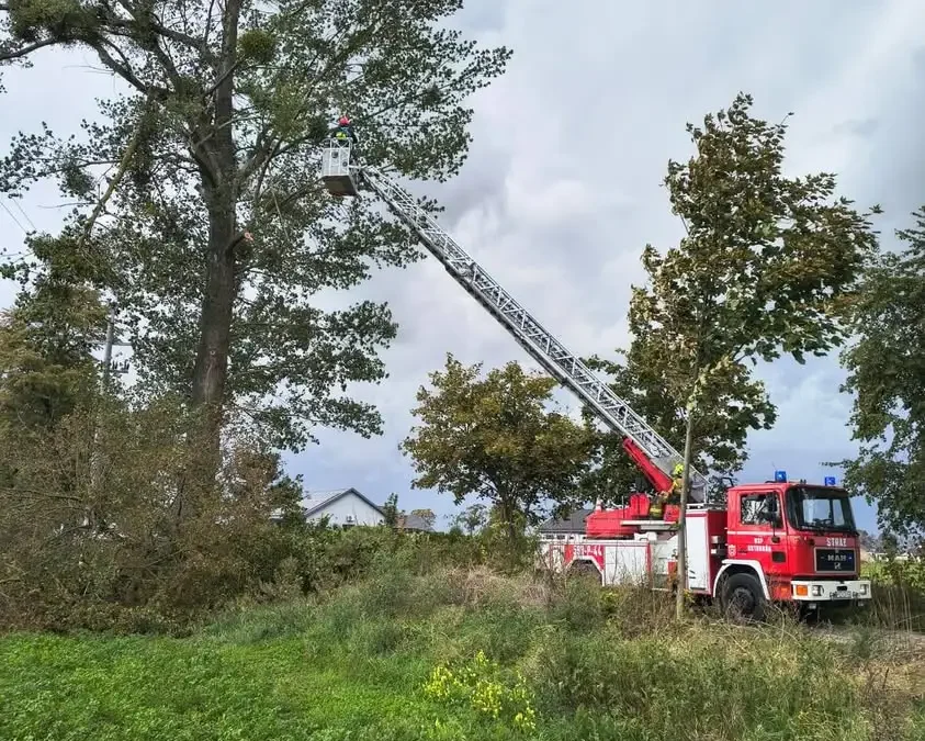 OSP Ostroróg interweniuje w Bobulczynie: zwisający konar nad linią energetyczną