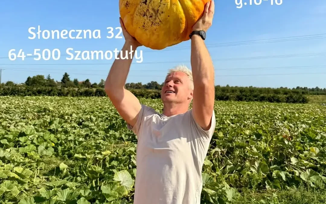 Farma Dyniowa w Owocowej Kryjówce w Gąsawach otwiera się dziś