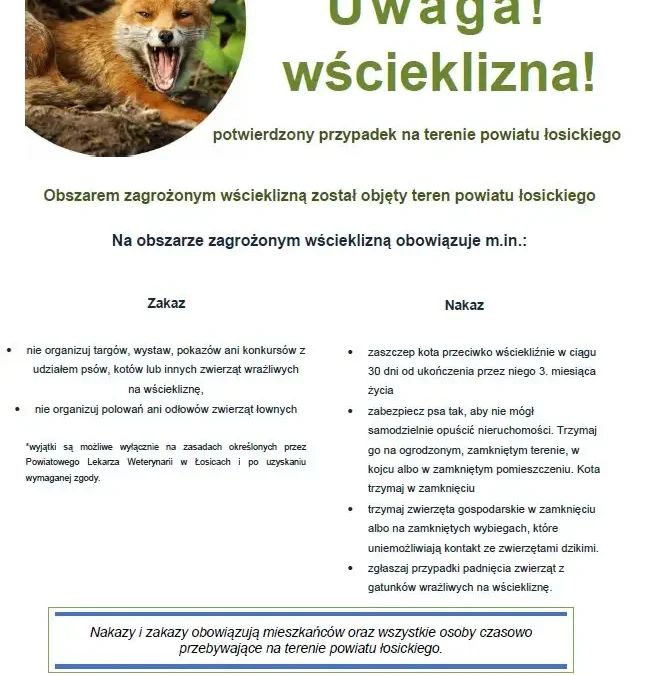 Wścieklizna potwierdzona w powiecie łosickim – obowiązują nakazy i zakazy