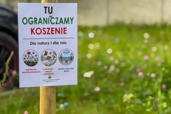 Szamotuły stawiają na dziką zieleń – nowe tabliczki w mieście