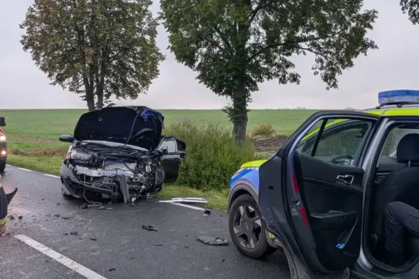 Zdarzenie drogowe na DW 184. Alarm eCall wezwał służby