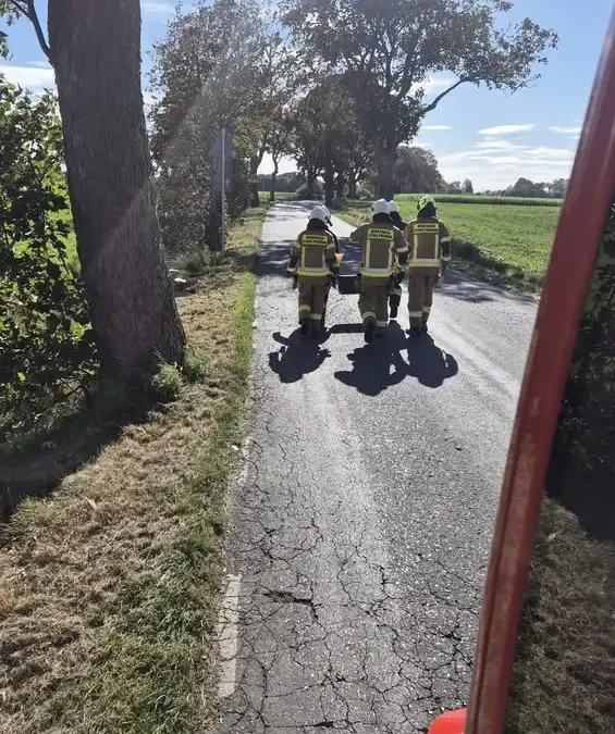 Ostroróg: strażacy z OSP neutralizowali plamę substancji ropopochodnej na drodze