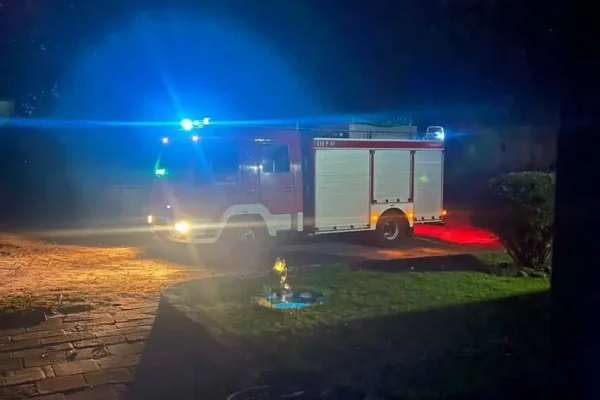 Interwencja OSP Ostroróg: usuwanie gniazda owadów błonkoskrzydłych w Karolewie
