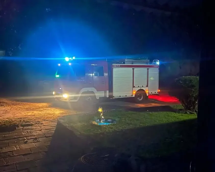 Interwencja OSP Ostroróg: usuwanie gniazda owadów błonkoskrzydłych w Karolewie