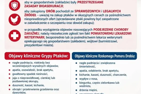 Grypa ptaków i rzekomy pomór drobiu — alert dla hodowców na sezon jesienno-zimowy