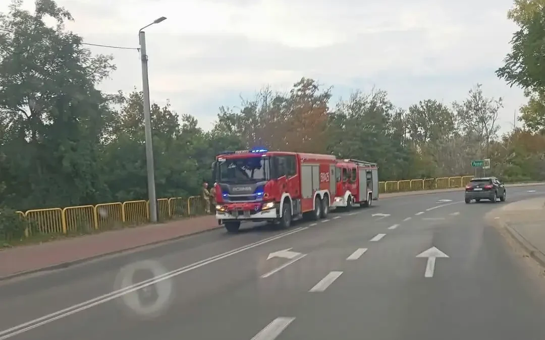 Pożar zarośli w Szamotułach – interwencja strażaków OSP