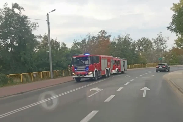 Pożar zarośli w Szamotułach – interwencja strażaków OSP