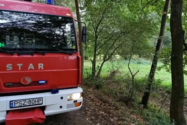 Jeżyna zaplątana w siatkę – interwencja OSP Ostroróg w Wielonku