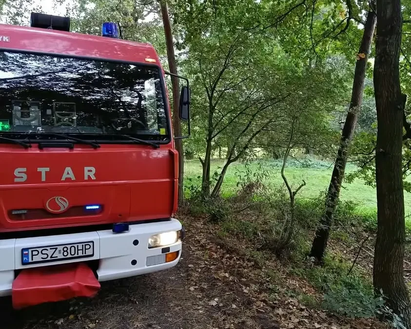 Jeżyna zaplątana w siatkę – interwencja OSP Ostroróg w Wielonku