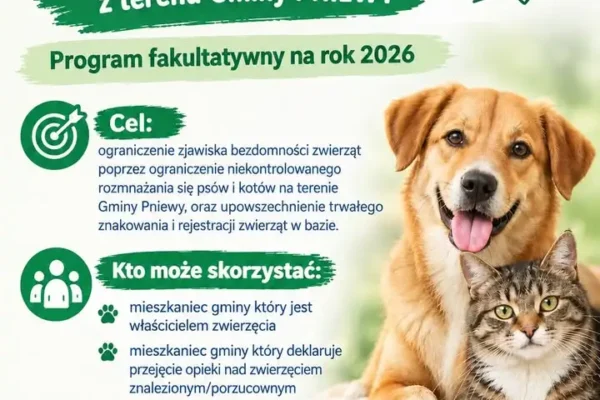 Pniewy dofinansują sterylizację i kastrację zwierząt. Warunek: chip